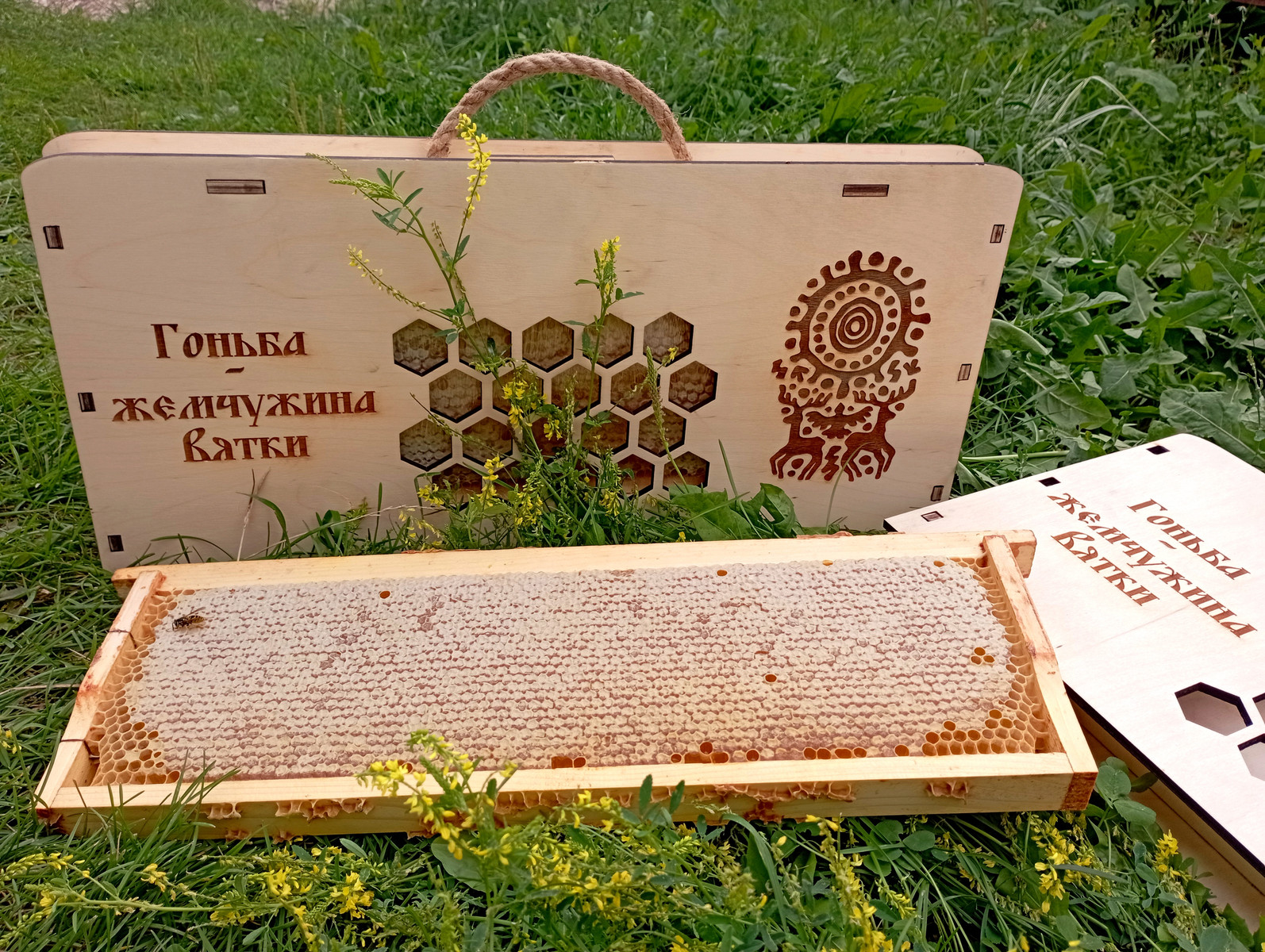Недавно у проекта появилось собственное производство — мед в сотах, упакованный в аккуратные коробочки