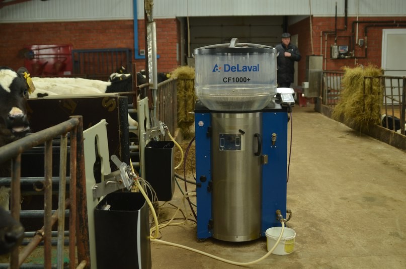 В отделении для доращивания телят процесс кормления автоматизирован с помощью «кормоняни»