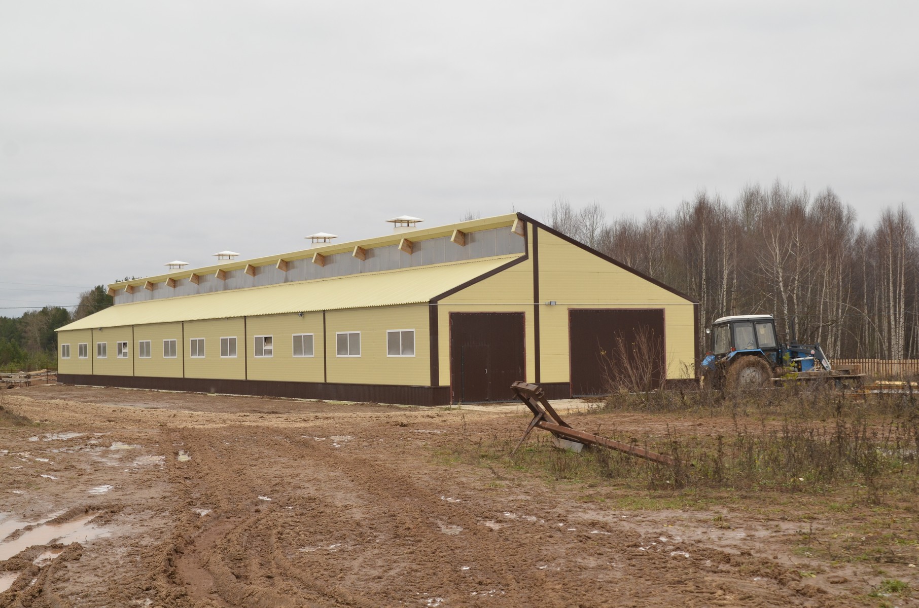Здание новой фермы на 49 голов с доильным блоком